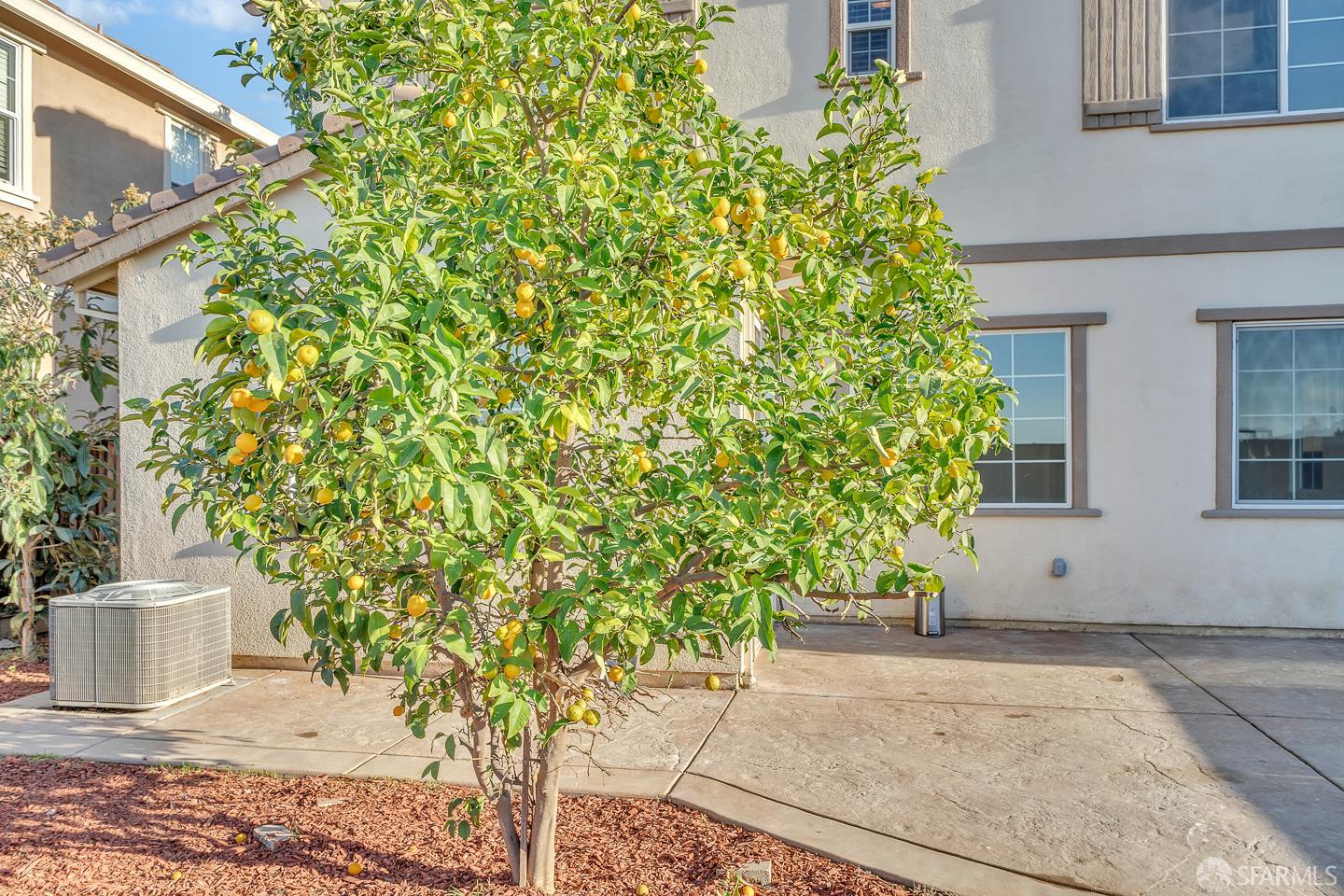 Detail Gallery Image 26 of 35 For 4747 Dundee St, Antioch,  CA 94531 - 4 Beds | 3 Baths