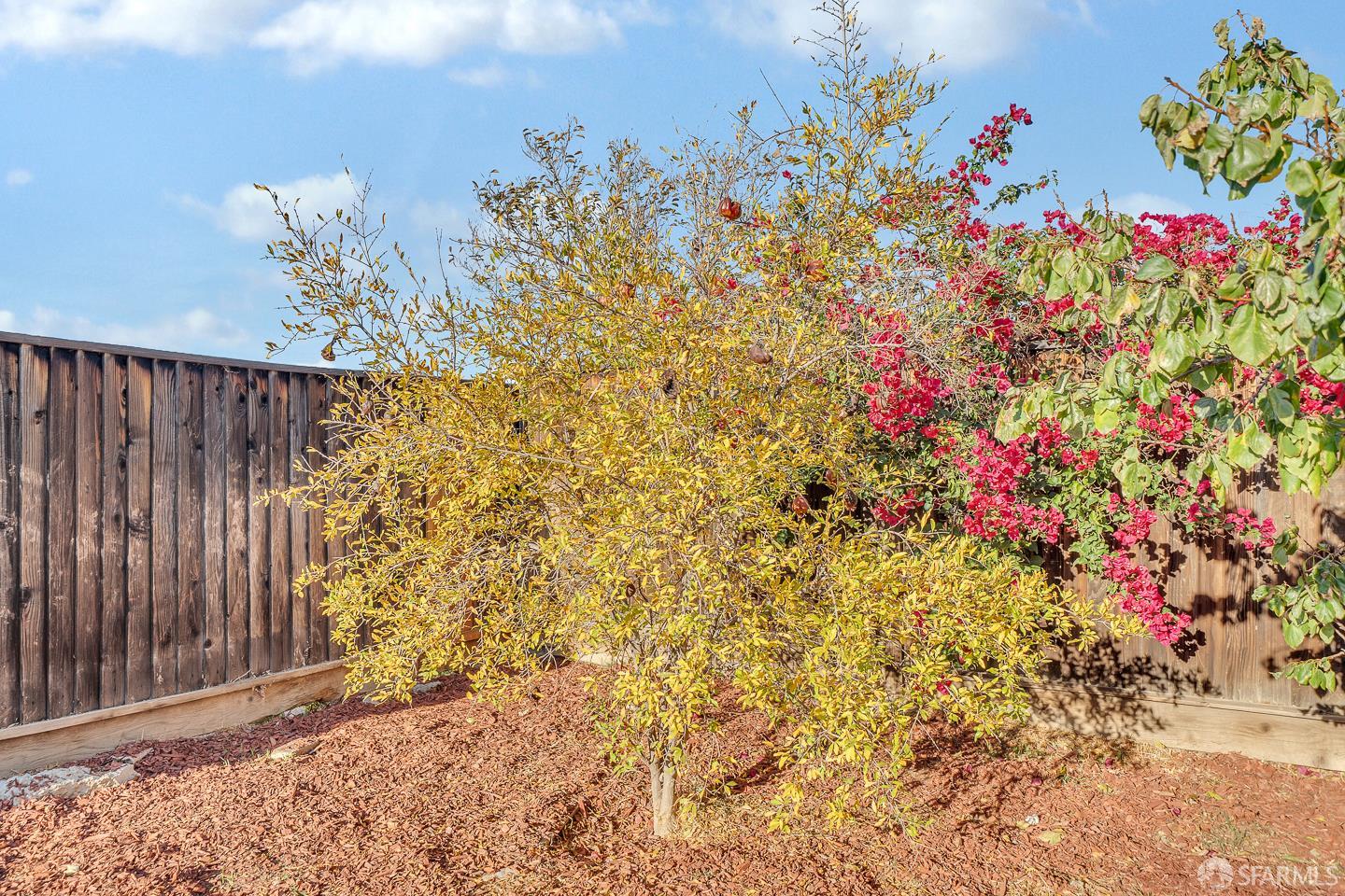 Detail Gallery Image 27 of 35 For 4747 Dundee St, Antioch,  CA 94531 - 4 Beds | 3 Baths