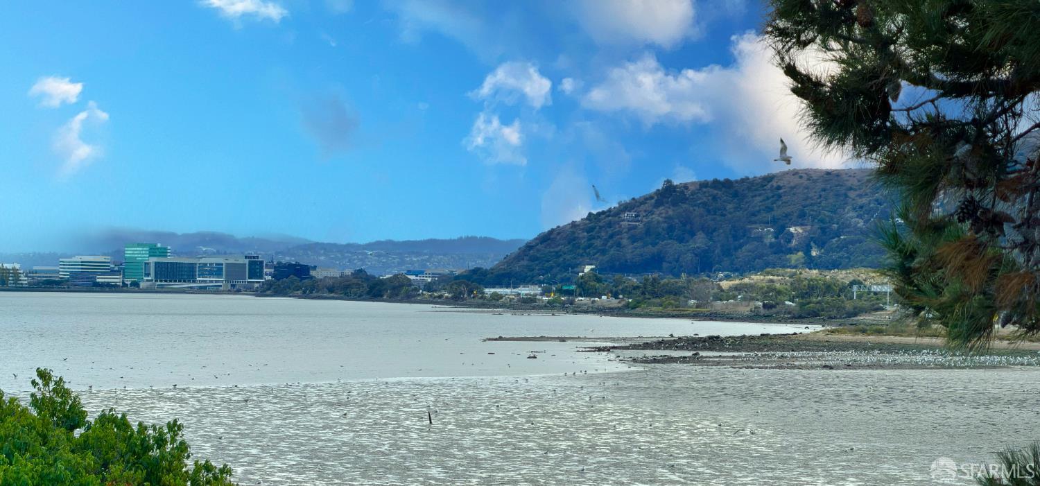 Search Homes for Rent