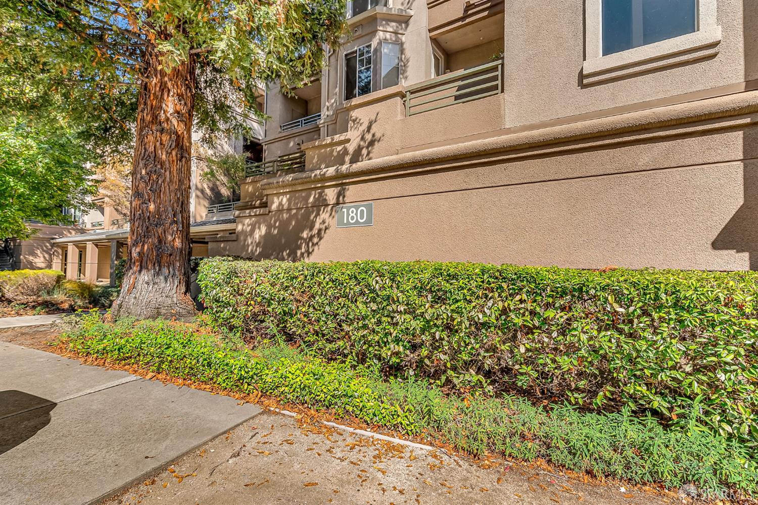Detail Gallery Image 17 of 25 For 180 Caldecott Ln #314,  Oakland,  CA 94618 - 1 Beds | 1 Baths