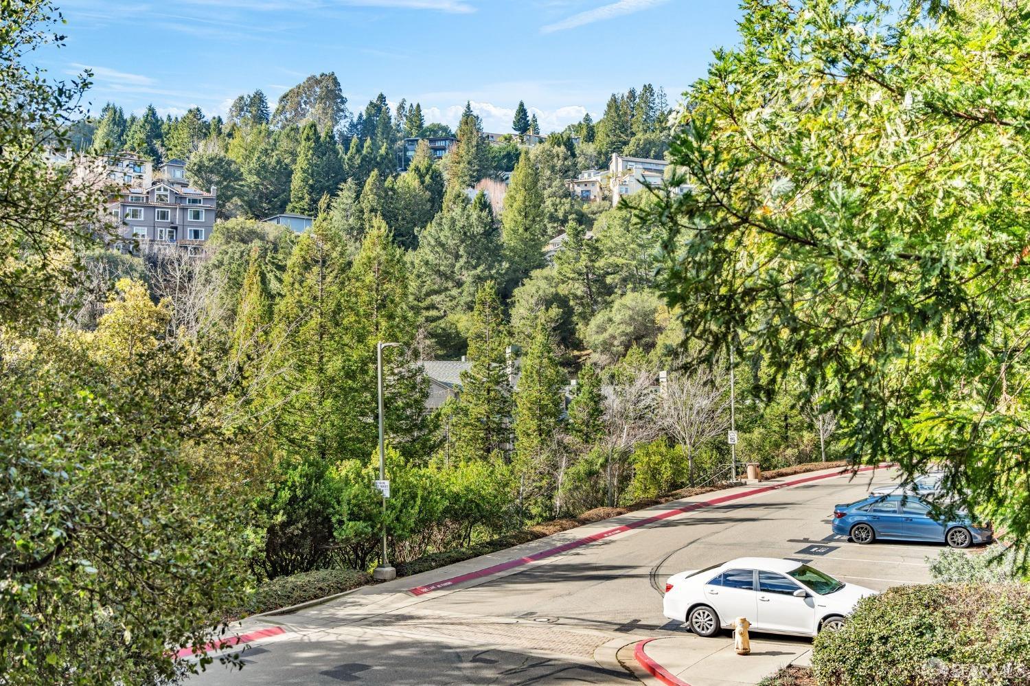 Detail Gallery Image 15 of 25 For 180 Caldecott Ln #314,  Oakland,  CA 94618 - 1 Beds | 1 Baths