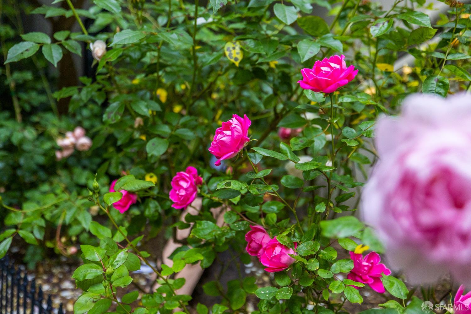 Photo #65: 425087818 Listing: Photo #65