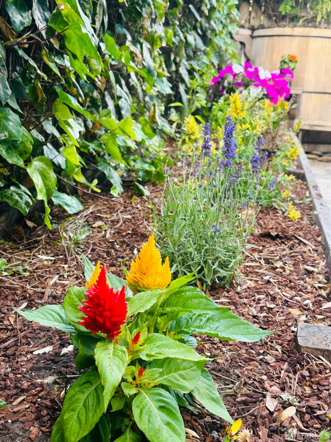 Detail Gallery Image 48 of 55 For 1028 55 St, Oakland,  CA 94608 - 4 Beds | 4 Baths