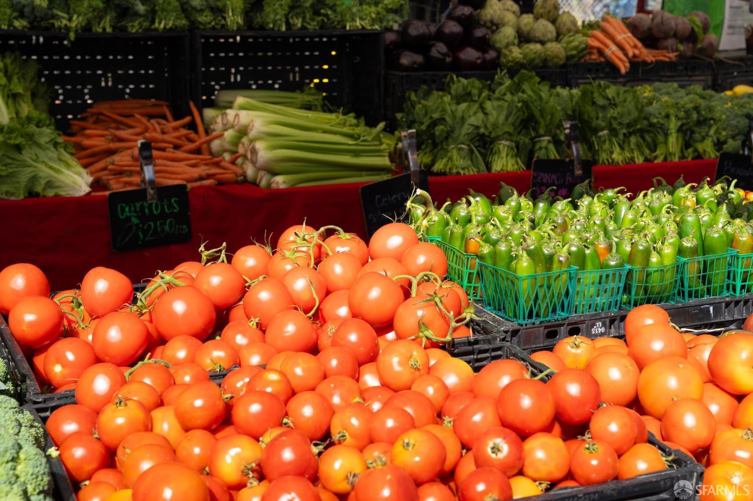 Detail Gallery Image 72 of 74 For 1983 42nd Ave, San Francisco,  CA 94116 - 4 Beds | 2/1 Baths