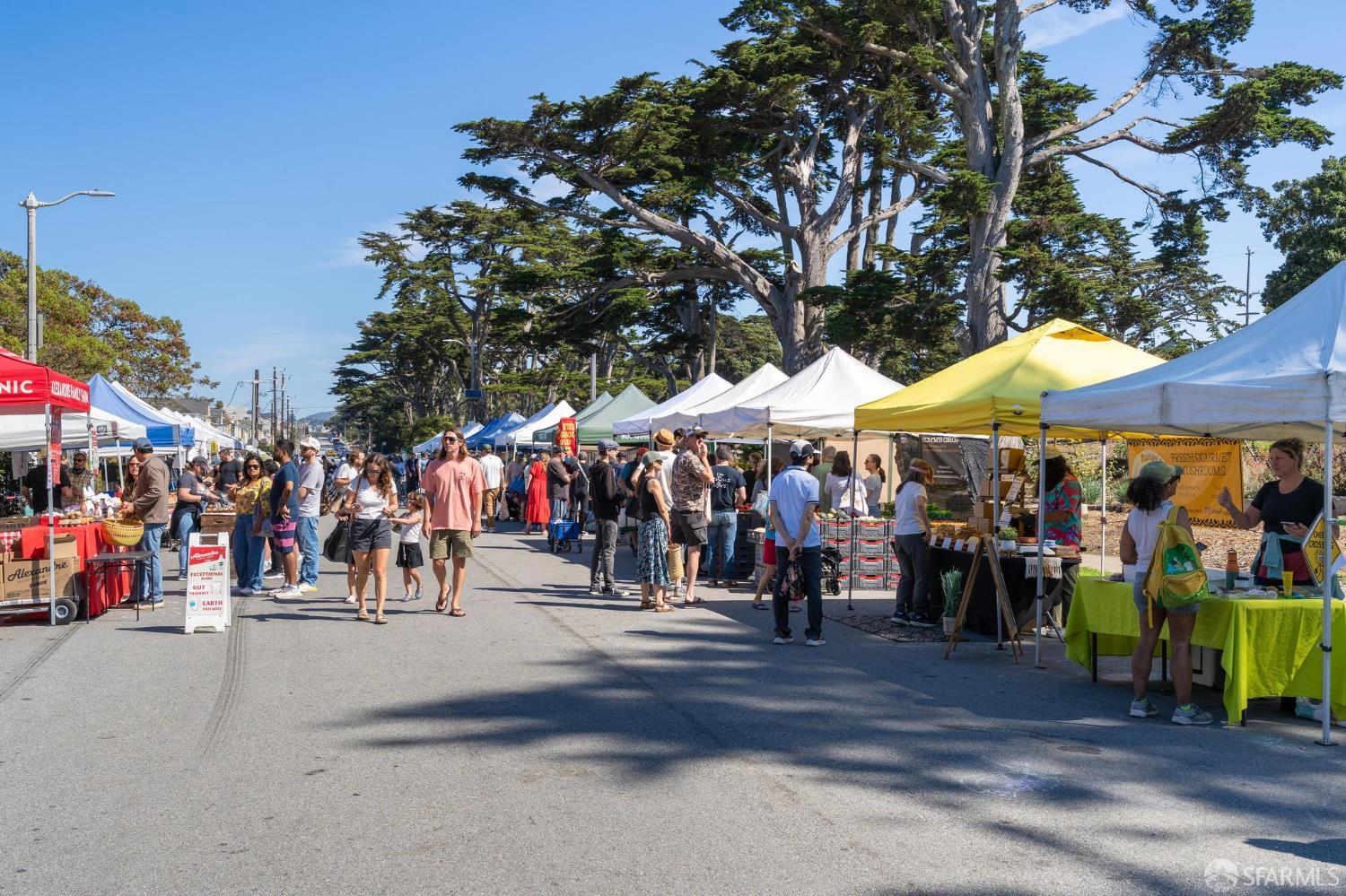 Detail Gallery Image 69 of 74 For 1983 42nd Ave, San Francisco,  CA 94116 - 4 Beds | 2/1 Baths