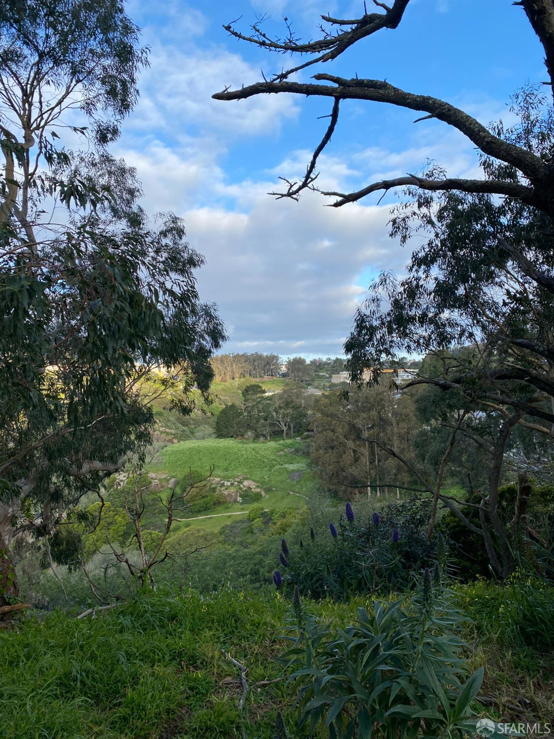 Photo #29: 425089374 Listing: Photo #29