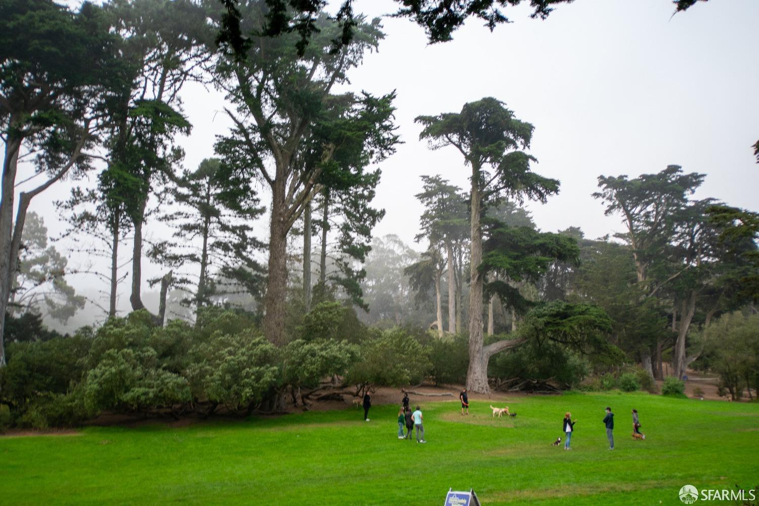 Detail Gallery Image 8 of 9 For 4927 California St a,  San Francisco,  CA 94118 - 1 Beds | 1 Baths