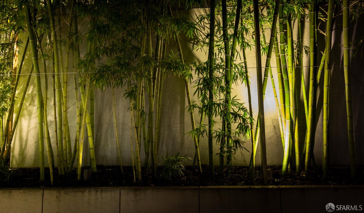 Detail Gallery Image 66 of 77 For 301 Main St 16h,  San Francisco,  CA 94105 - 2 Beds | 2 Baths