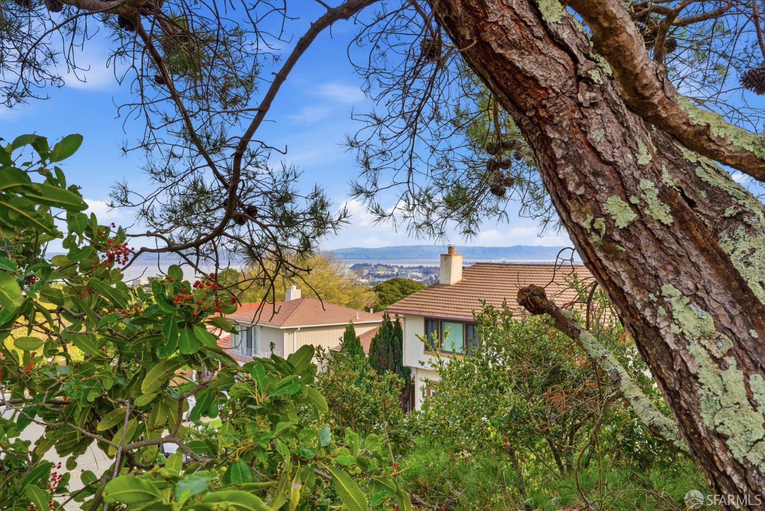 Detail Gallery Image 44 of 48 For 969 Springfield Dr, Millbrae,  CA 94030 - 3 Beds | 2/1 Baths