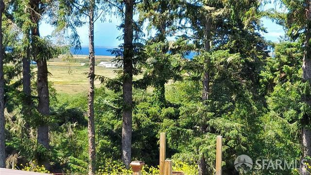 Detail Gallery Image 4 of 4 For 1020 Alpha St, Eureka,  CA 95503 - 2 Beds | 1 Baths