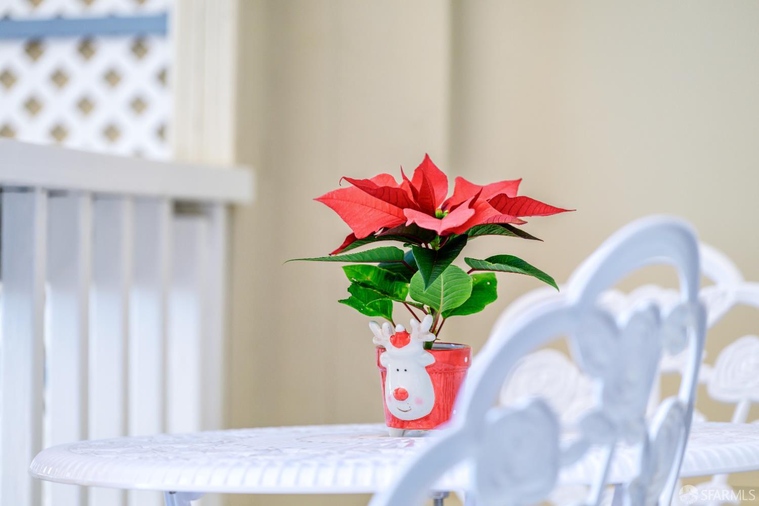 Detail Gallery Image 37 of 37 For 2371 30th Ave, San Francisco,  CA 94116 - 3 Beds | 1 Baths