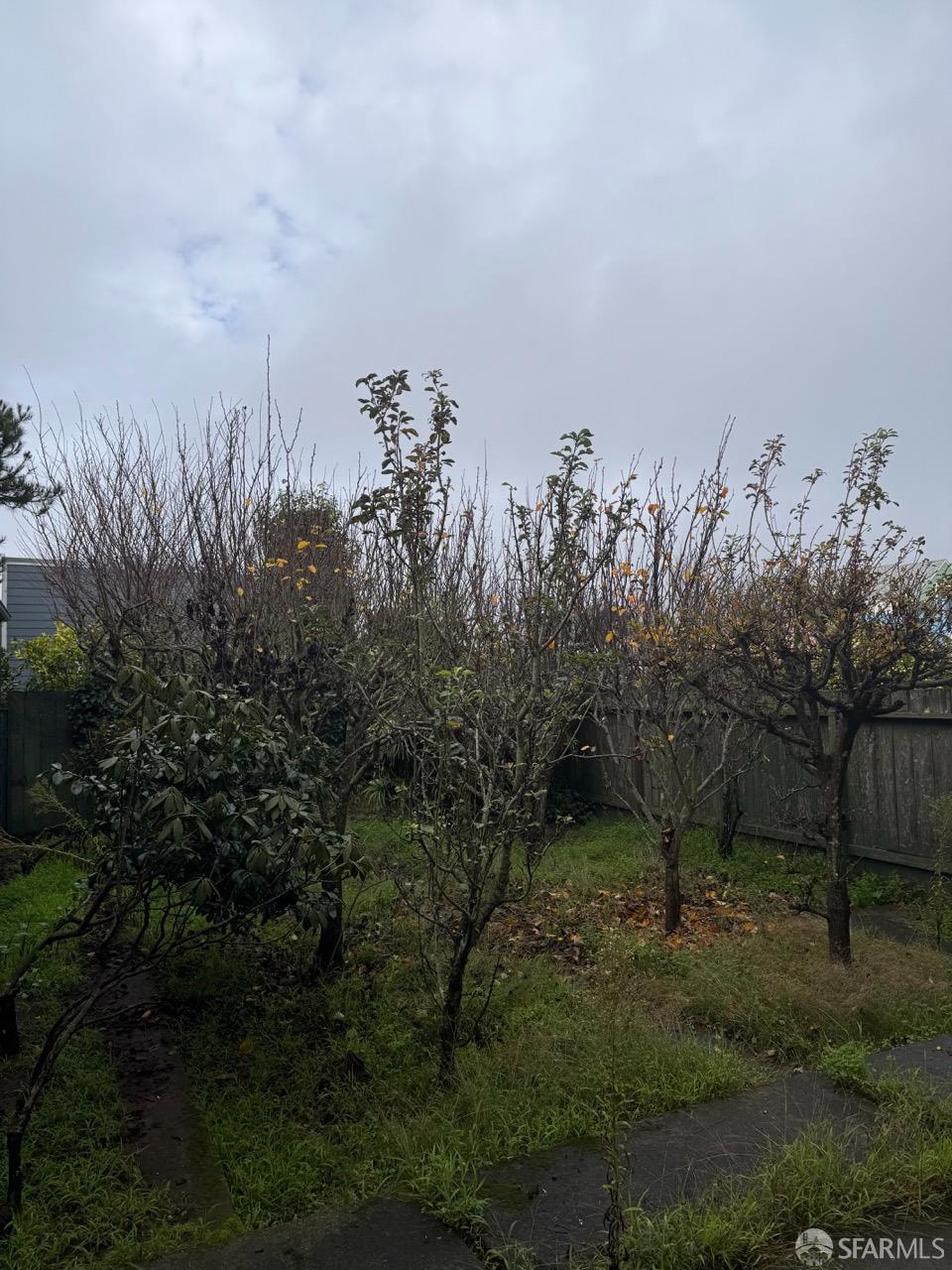 Detail Gallery Image 35 of 48 For 436 Edinburgh St, San Francisco,  CA 94112 - 0 Beds | 1 Baths