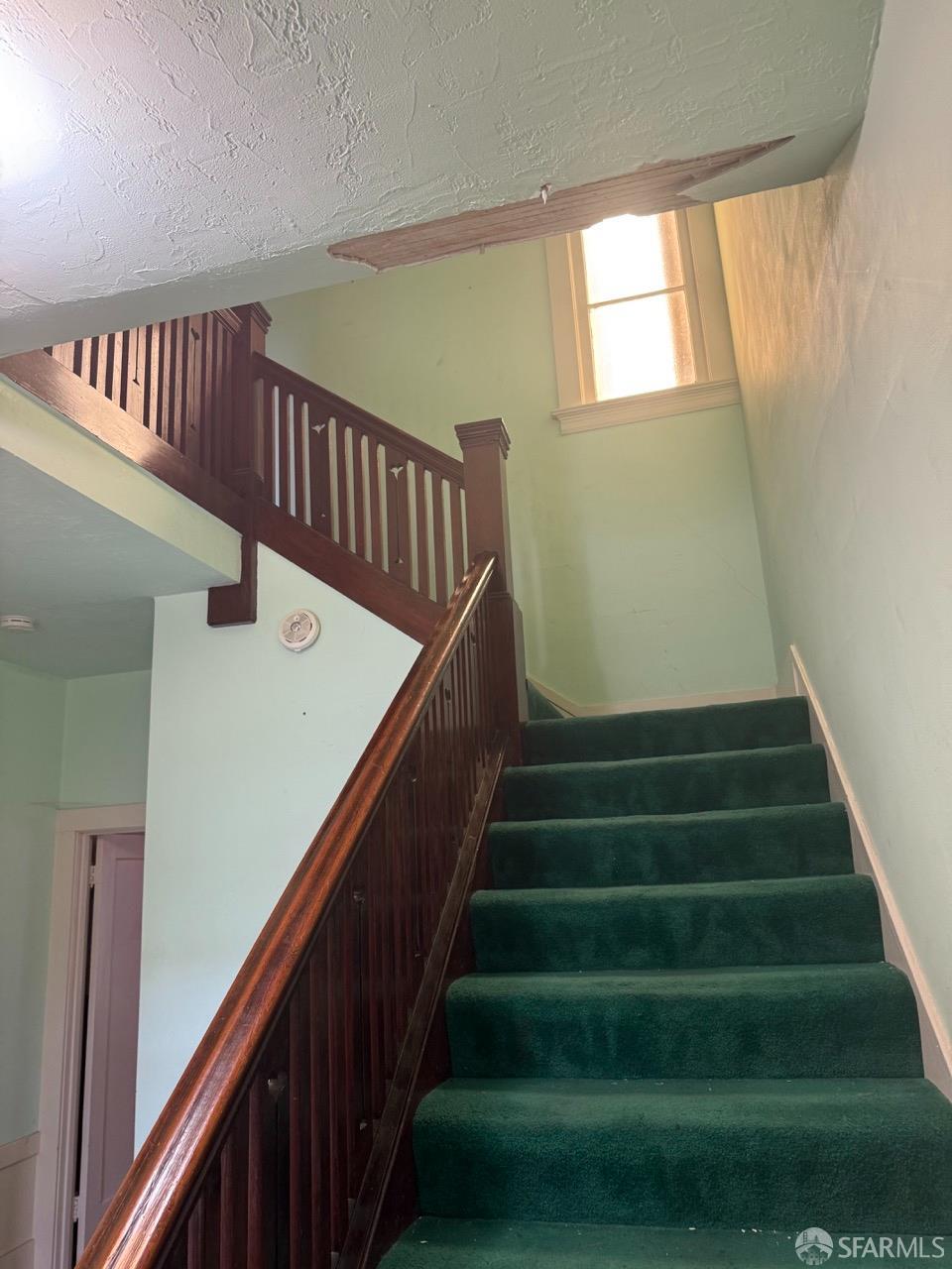 Detail Gallery Image 47 of 48 For 436 Edinburgh St, San Francisco,  CA 94112 - 0 Beds | 1 Baths