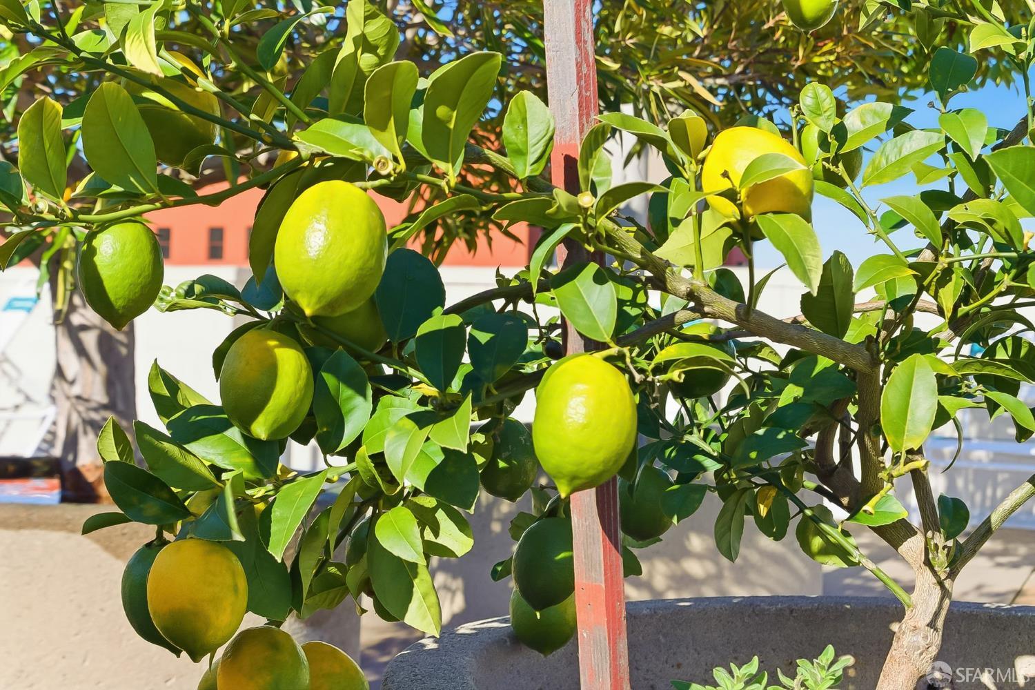 Detail Gallery Image 45 of 54 For 152 Lombard St #405,  San Francisco,  CA 94111 - 1 Beds | 1 Baths