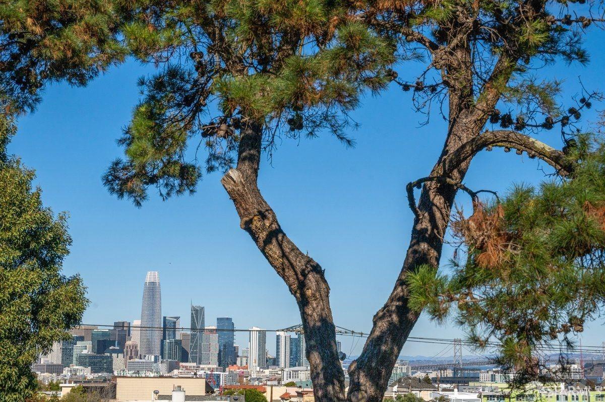 Photo #77: 425093289 Listing: Photo #77