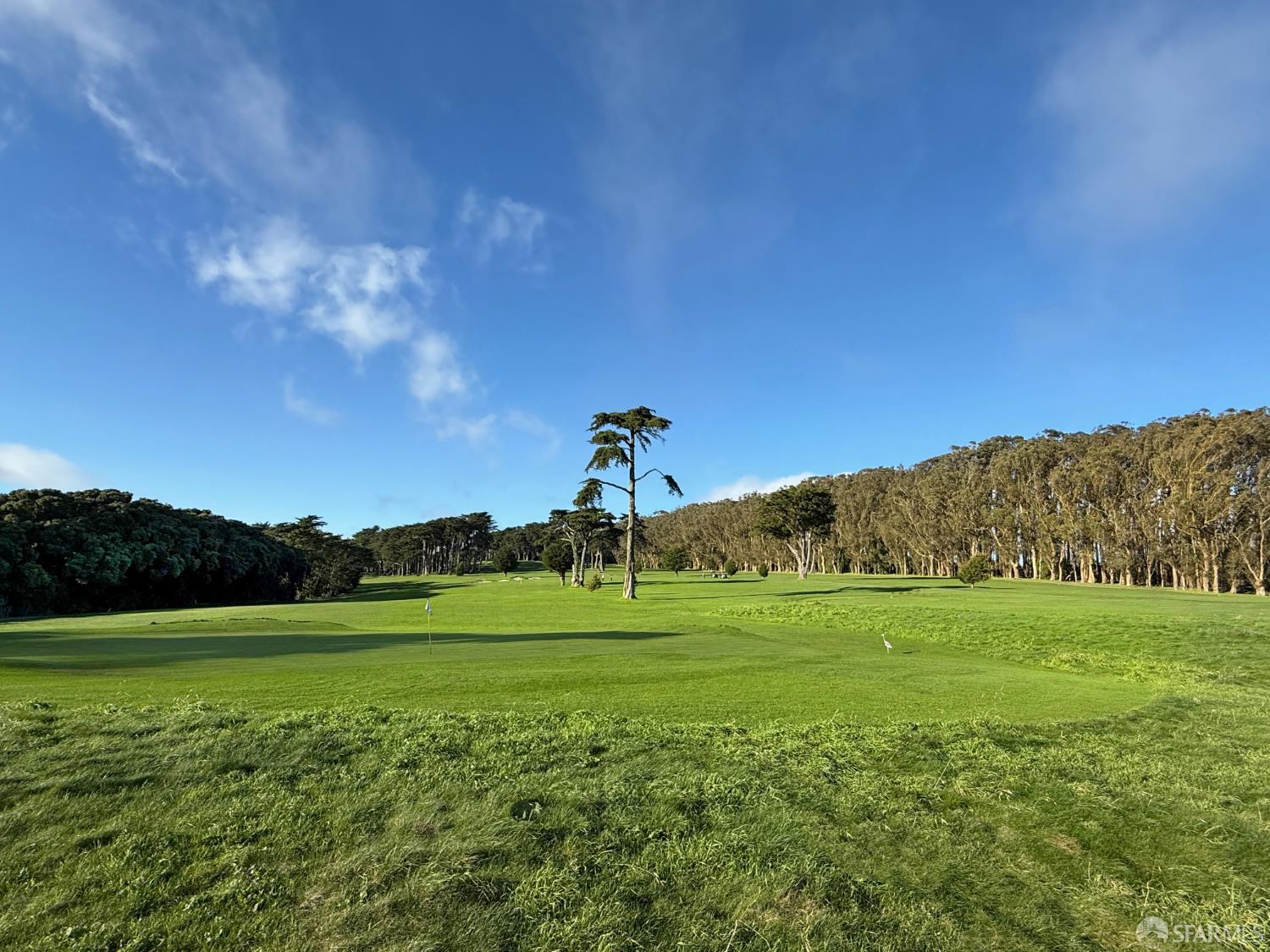 Photo #68: 426094047 Listing: Photo #68