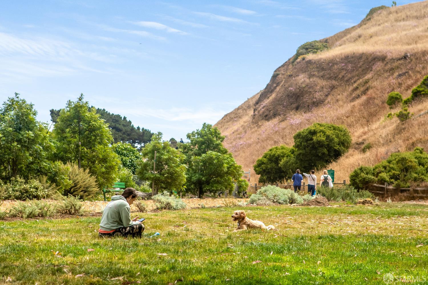 Detail Gallery Image 58 of 65 For 221 Noe St #3,  San Francisco,  CA 94114 - 1 Beds | 1 Baths