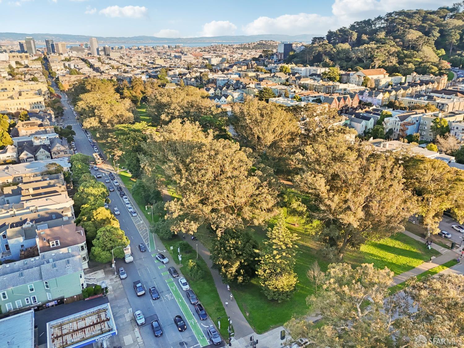 Detail Gallery Image 84 of 99 For 560 Lyon St, San Francisco,  CA 94117 - 5 Beds | 3/1 Baths