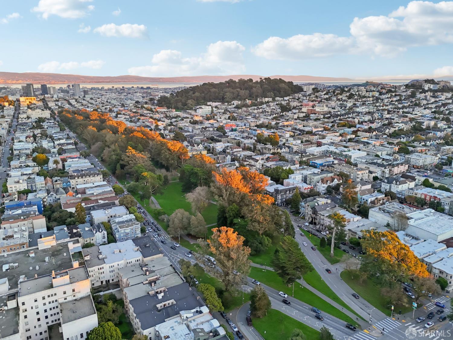 Detail Gallery Image 87 of 99 For 560 Lyon St, San Francisco,  CA 94117 - 5 Beds | 3/1 Baths