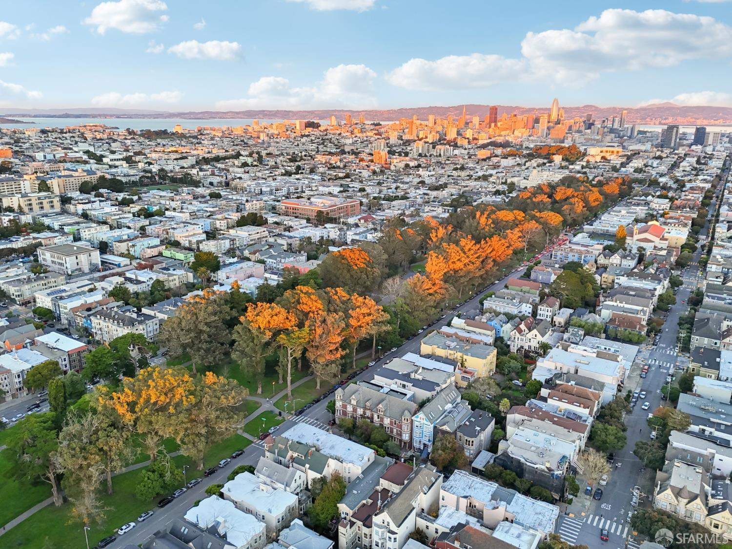 Detail Gallery Image 91 of 99 For 560 Lyon St, San Francisco,  CA 94117 - 5 Beds | 3/1 Baths