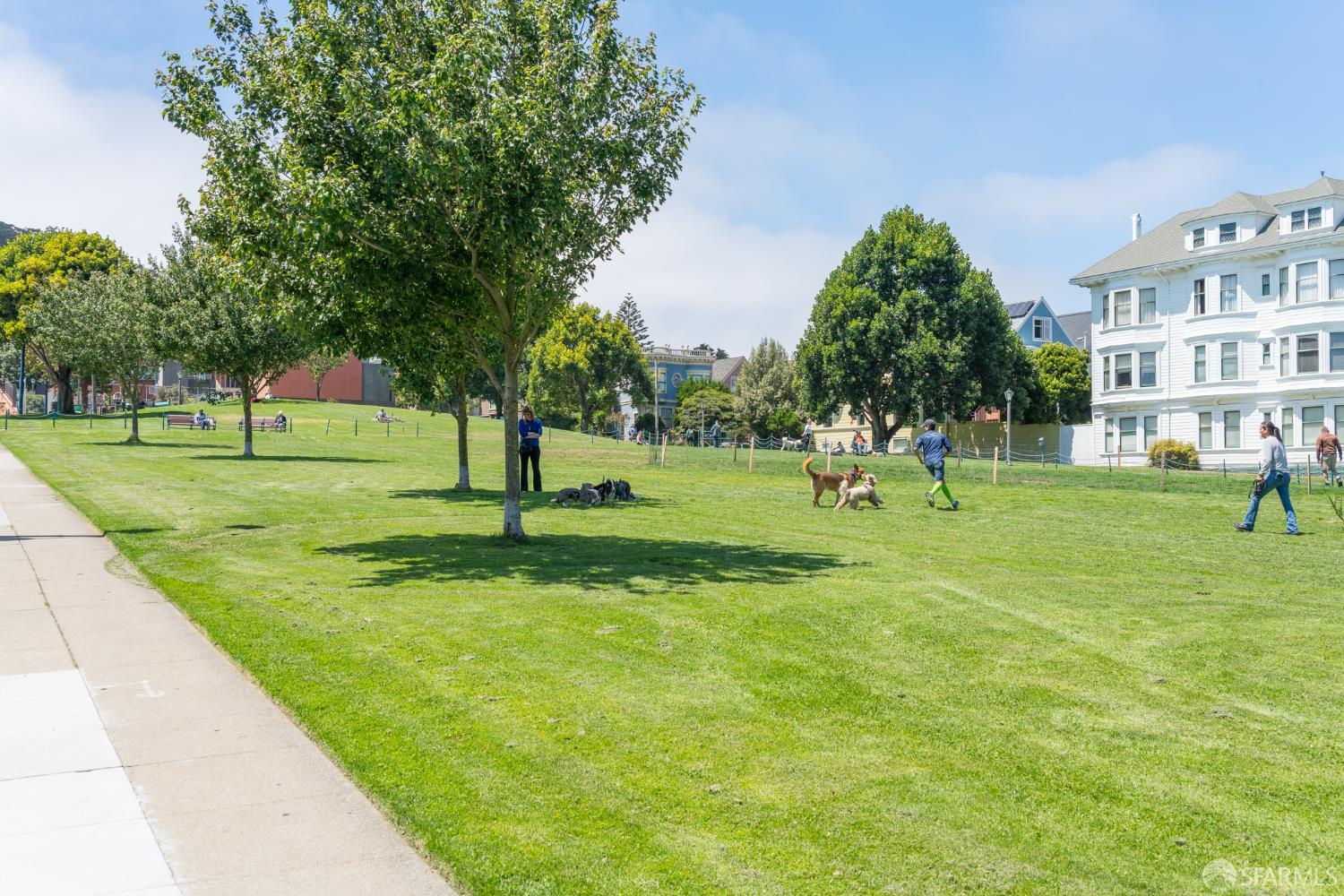 Detail Gallery Image 32 of 35 For 351 Buena Vista E Ave 504e,  San Francisco,  CA 94117 - 1 Beds | 1 Baths