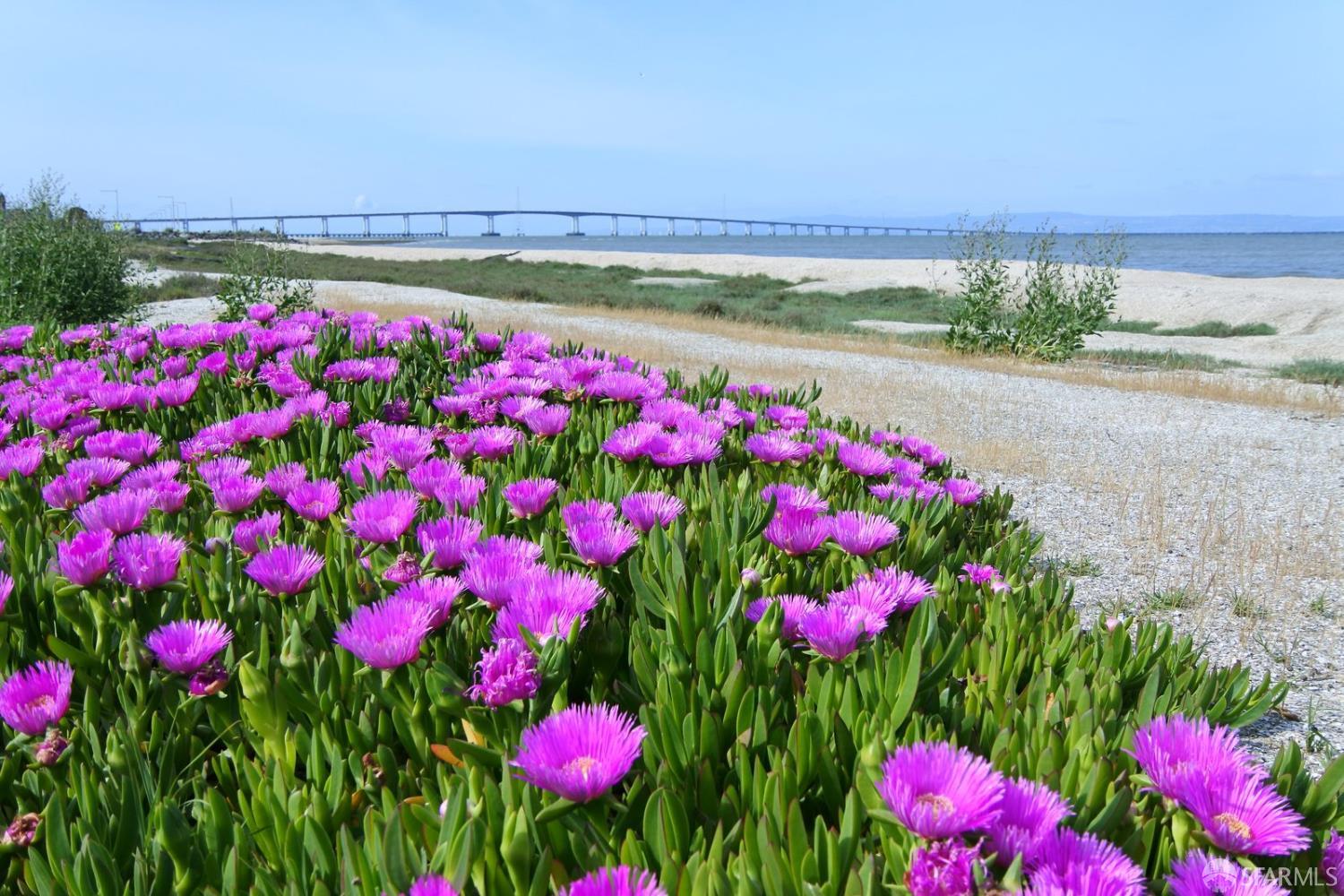 Detail Gallery Image 40 of 41 For 1208 Admiralty Ln, Foster City,  CA 94404 - 3 Beds | 2/1 Baths