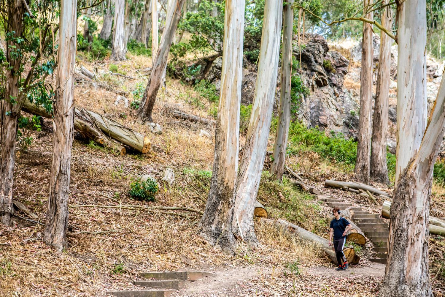 Photo #43: 425093183 Listing: Photo #43