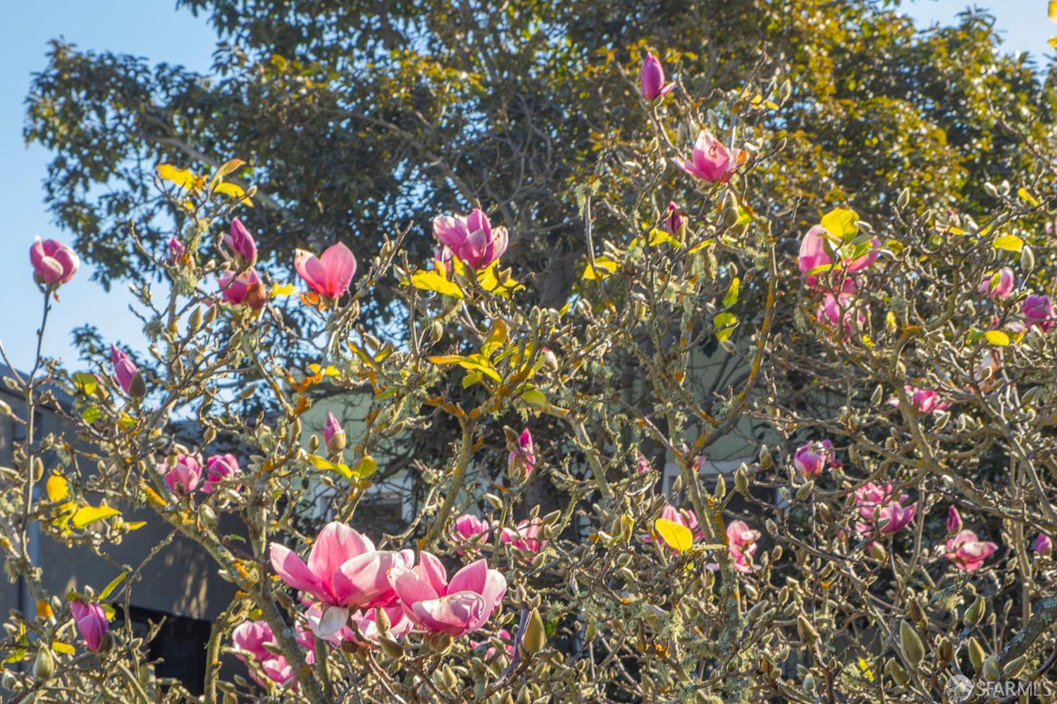 Detail Gallery Image 29 of 30 For 327 Caselli Ave, San Francisco,  CA 94114 - 2 Beds | 1/1 Baths
