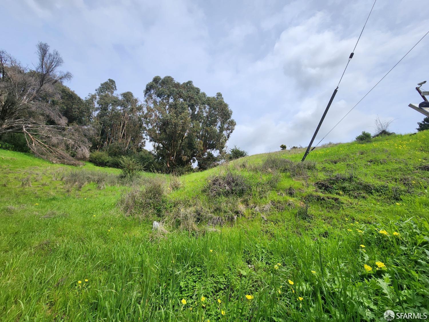 Front Image Thumbnail for SF426096512