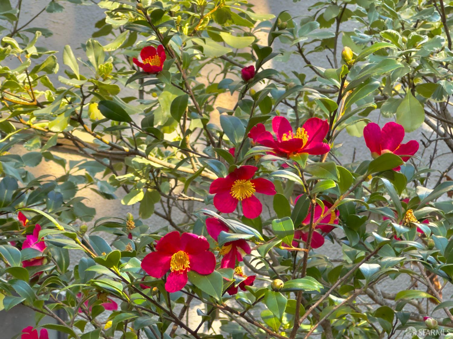 Detail Gallery Image 30 of 30 For 7224 Shelter Creek Ln, San Bruno,  CA 94066 - 0 Beds | 1 Baths