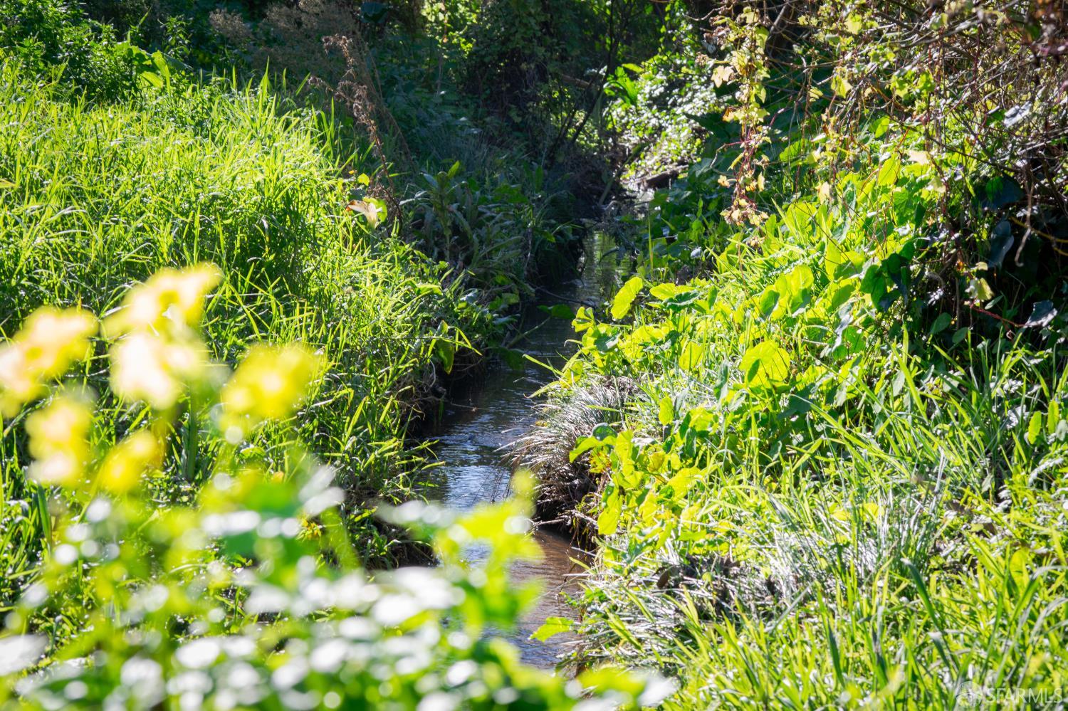 Detail Gallery Image 32 of 33 For 882 Stetson St, Moss Beach,  CA 94038 - 4 Beds | 3/1 Baths