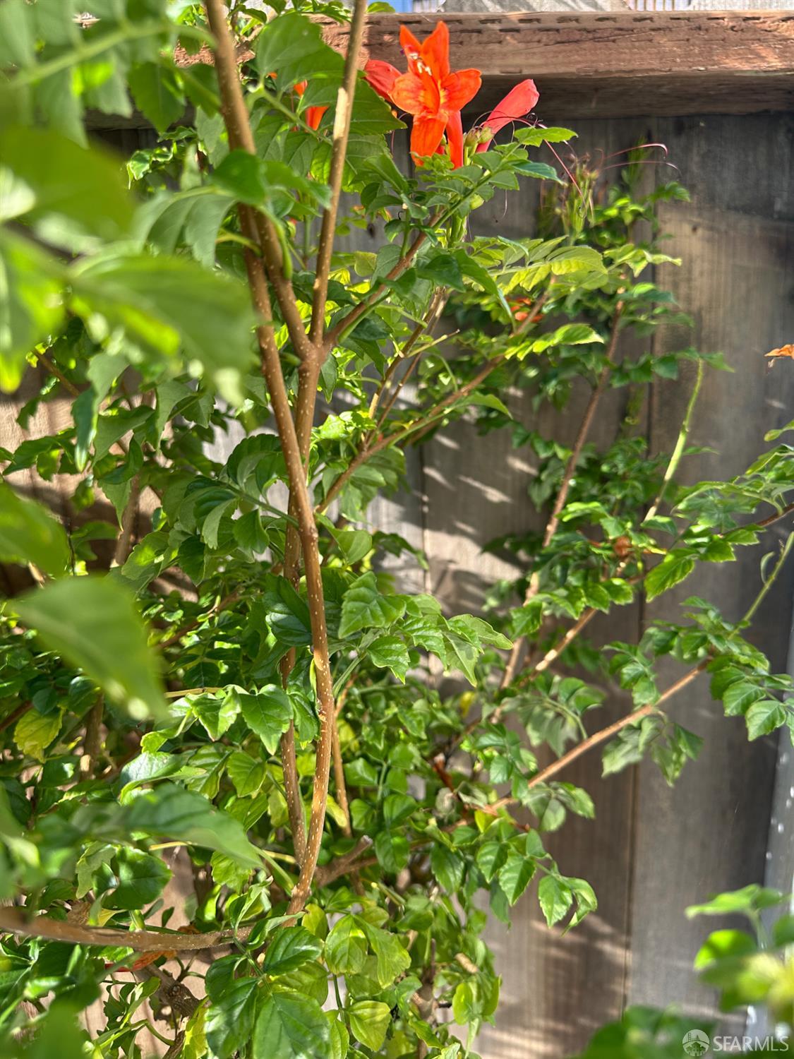 Detail Gallery Image 2 of 2 For 480 Monterey St a,  Brisbane,  CA 94005 - 1 Beds | 1 Baths