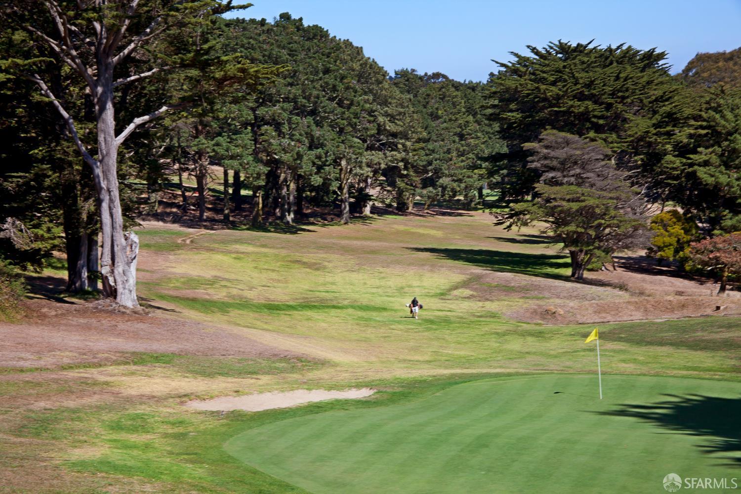 Detail Gallery Image 83 of 90 For 22 Tioga Ave, San Francisco,  CA 94134 - 3 Beds | 2 Baths