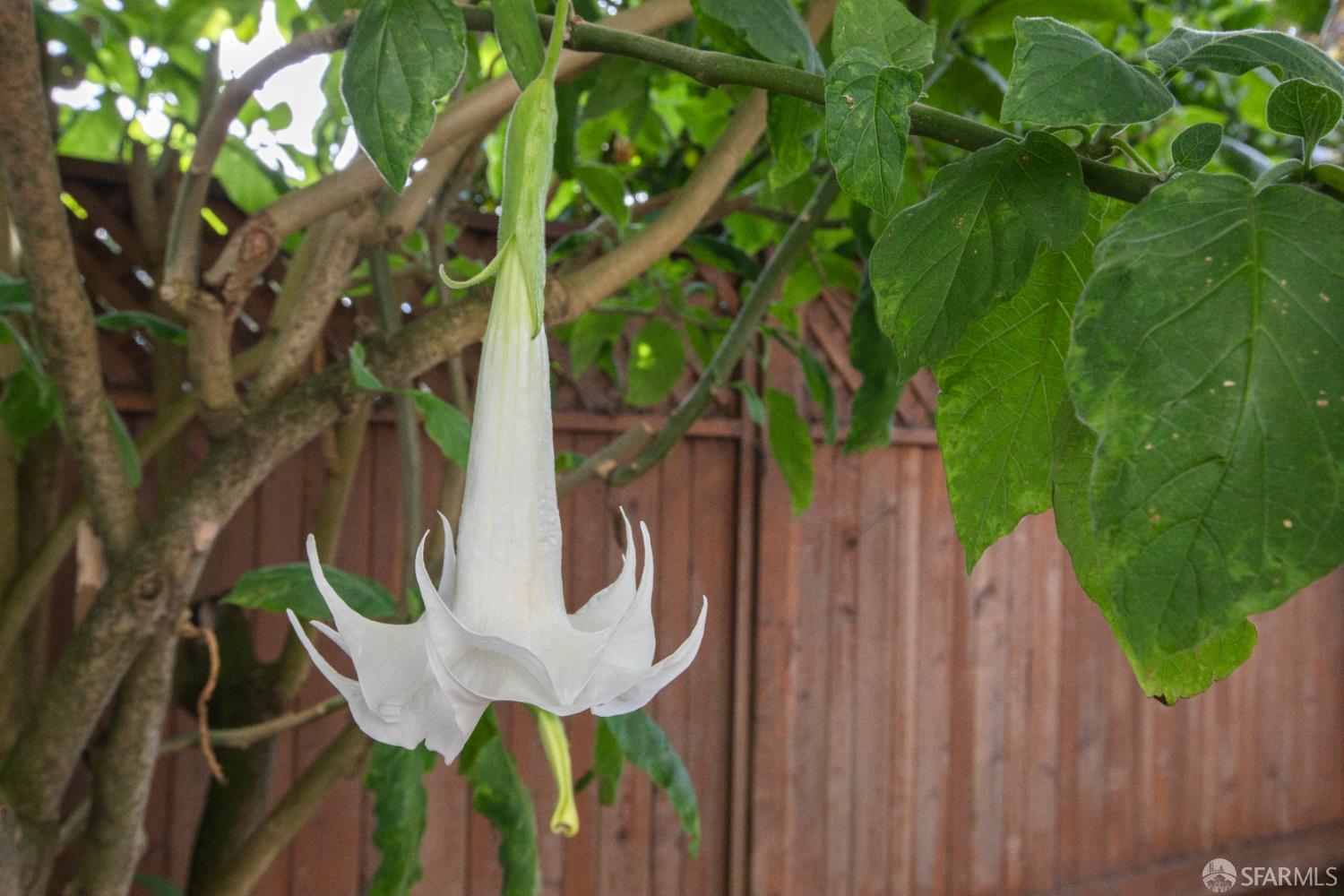 Photo #25: 426096591 Listing: Photo #25