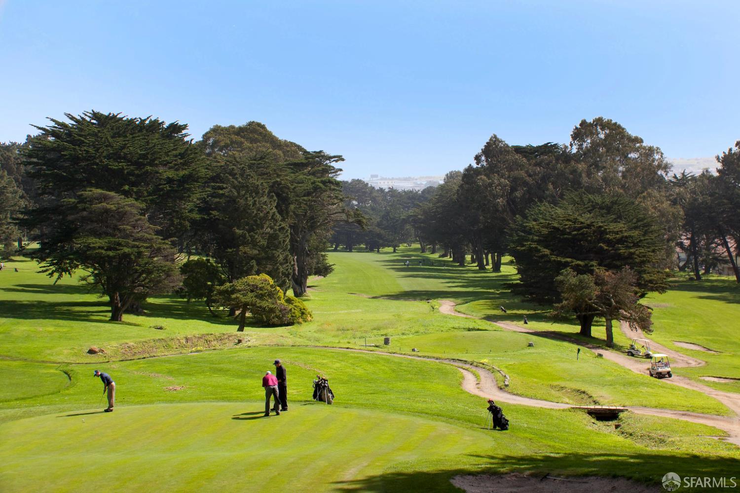 Detail Gallery Image 84 of 90 For 22 Tioga Ave, San Francisco,  CA 94134 - 3 Beds | 2 Baths
