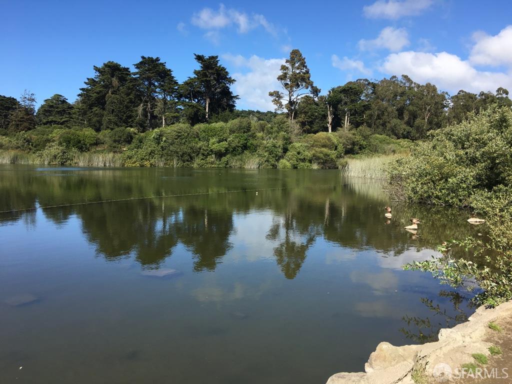 Detail Gallery Image 73 of 79 For 726 Lake St, San Francisco,  CA 94118 - 3 Beds | 3/1 Baths