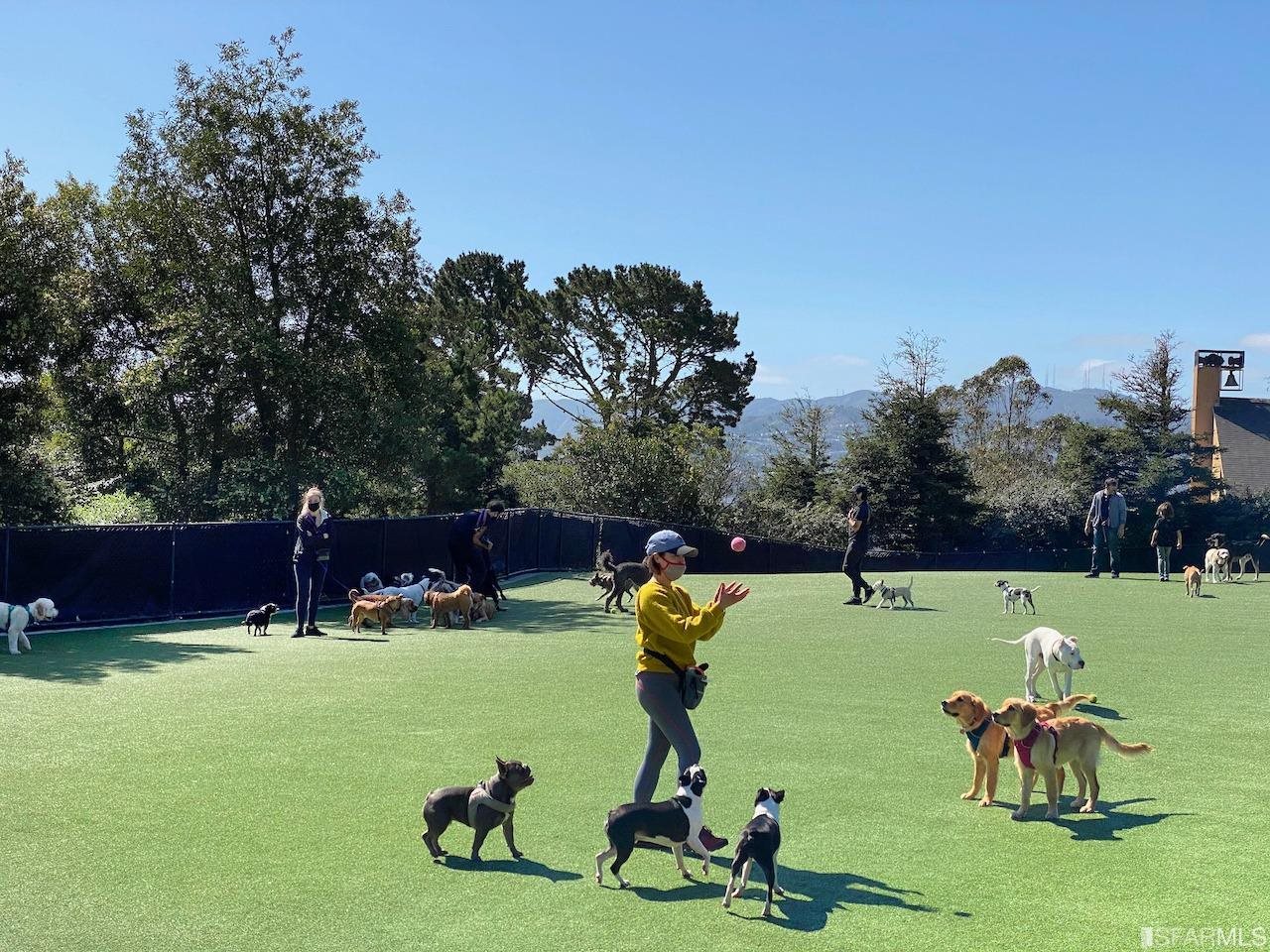 Detail Gallery Image 43 of 49 For 5330 Diamond Heights Blvd #J301,  San Francisco,  CA 94131 - 1 Beds | 1 Baths