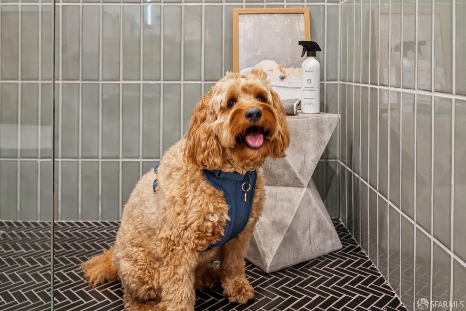 Detail Gallery Image 72 of 99 For 382 Lisbon St, San Francisco,  CA 94112 - 3 Beds | 4/1 Baths