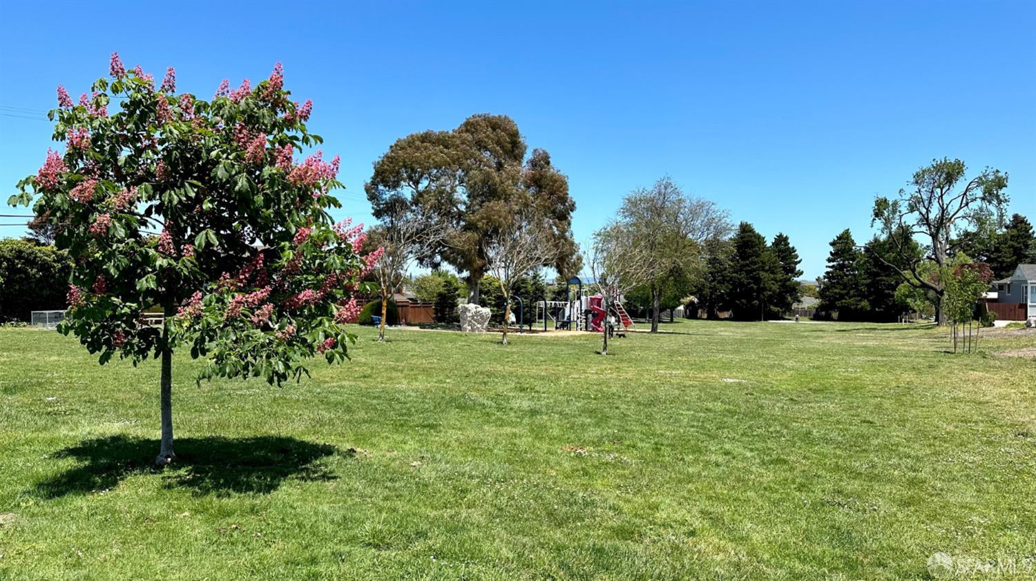 Detail Gallery Image 36 of 52 For 268 Linden Ave, San Bruno,  CA 94066 - 1 Beds | 1 Baths