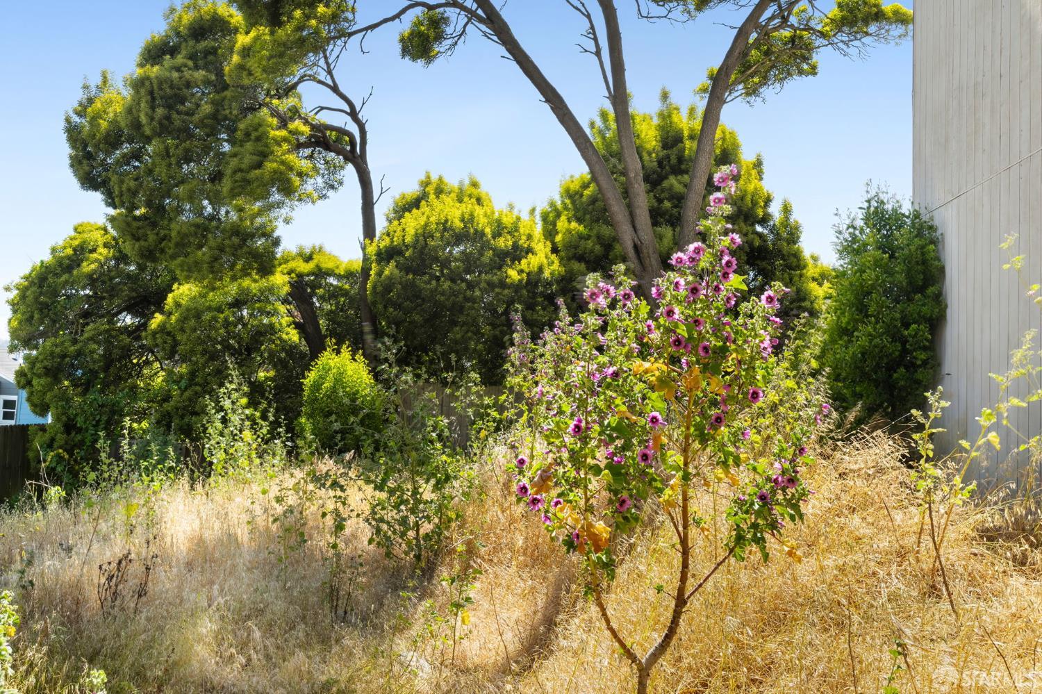 Detail Gallery Image 11 of 37 For 21 Wood St, San Francisco,  CA 94118 - – Beds | – Baths