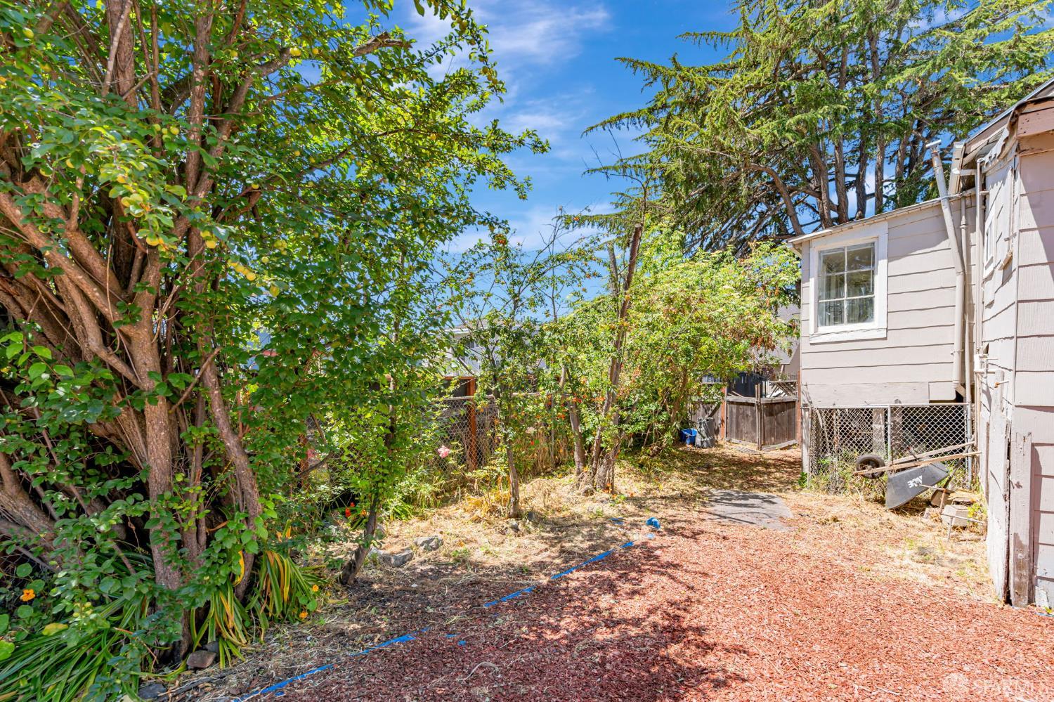 Detail Gallery Image 31 of 31 For 3233 Ellis St, Berkeley,  CA 94703 - 3 Beds | 2 Baths