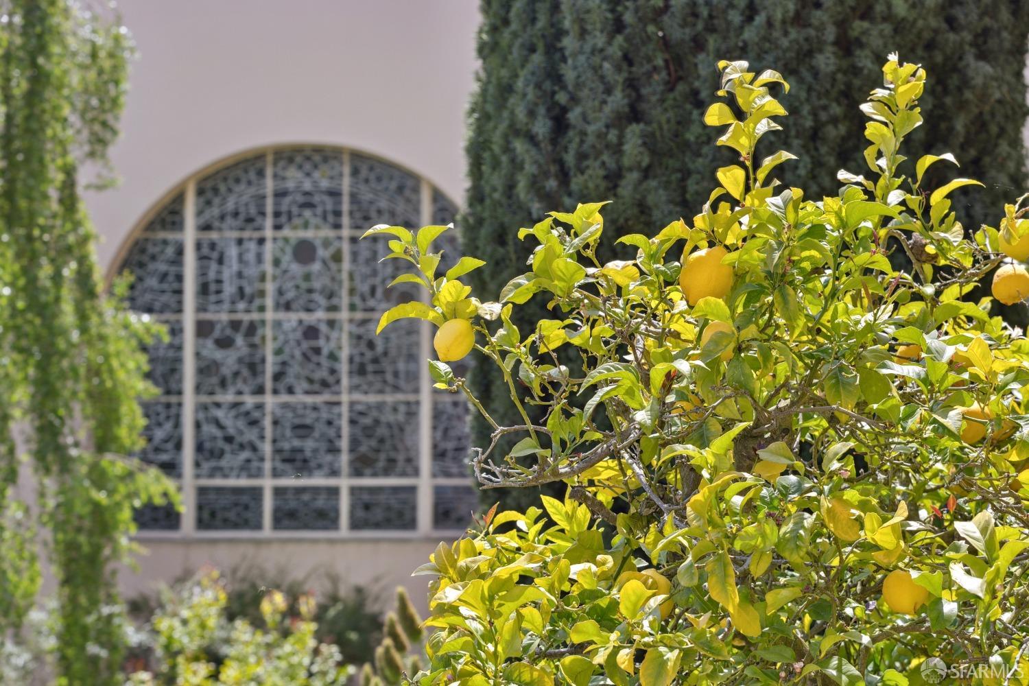 Photo #25: 426099939 Listing: Photo #25