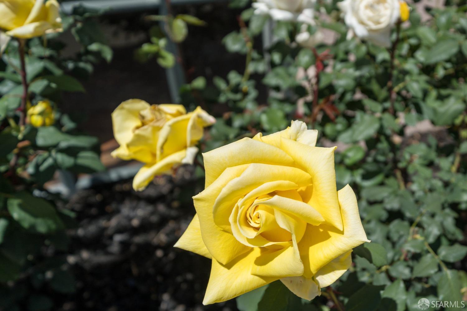 Photo #26: 426099939 Listing: Photo #26