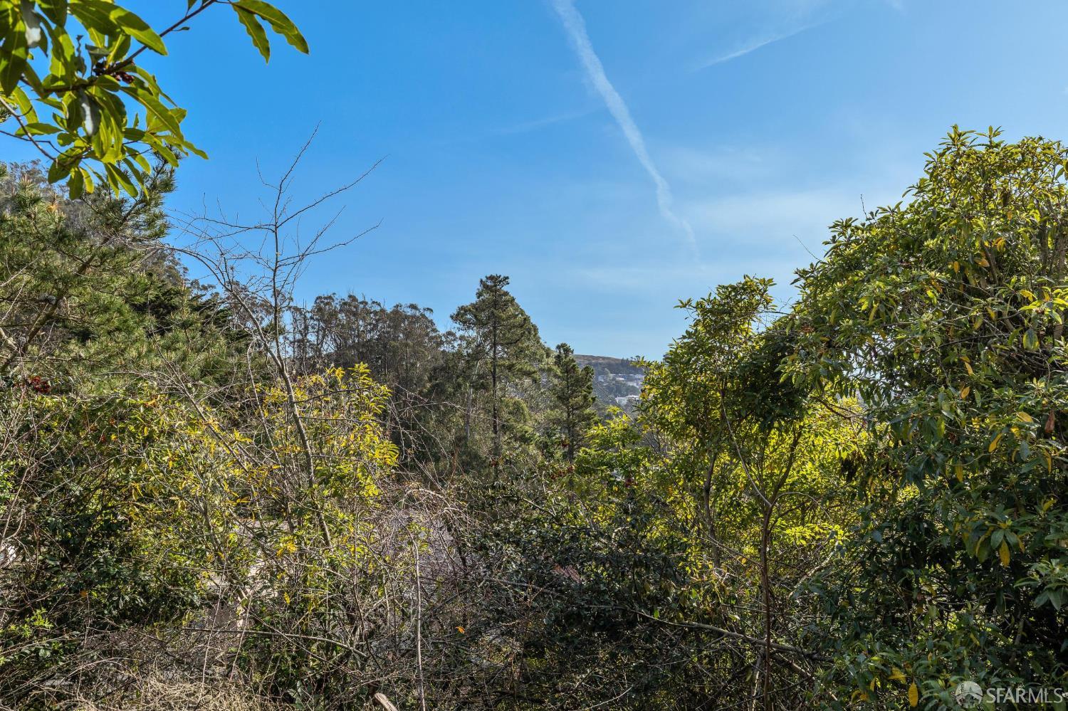 Detail Gallery Image 43 of 47 For 235 Oak Park Dr, San Francisco,  CA 94131 - 6 Beds | 3 Baths