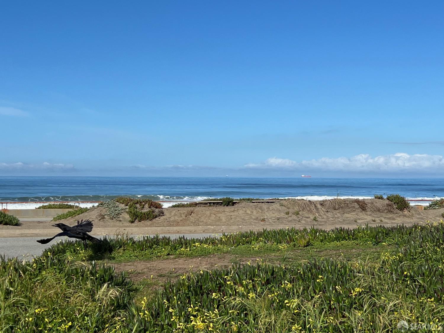 Detail Gallery Image 23 of 50 For 1483 47th Ave, San Francisco,  CA 94122 - 2 Beds | 2 Baths