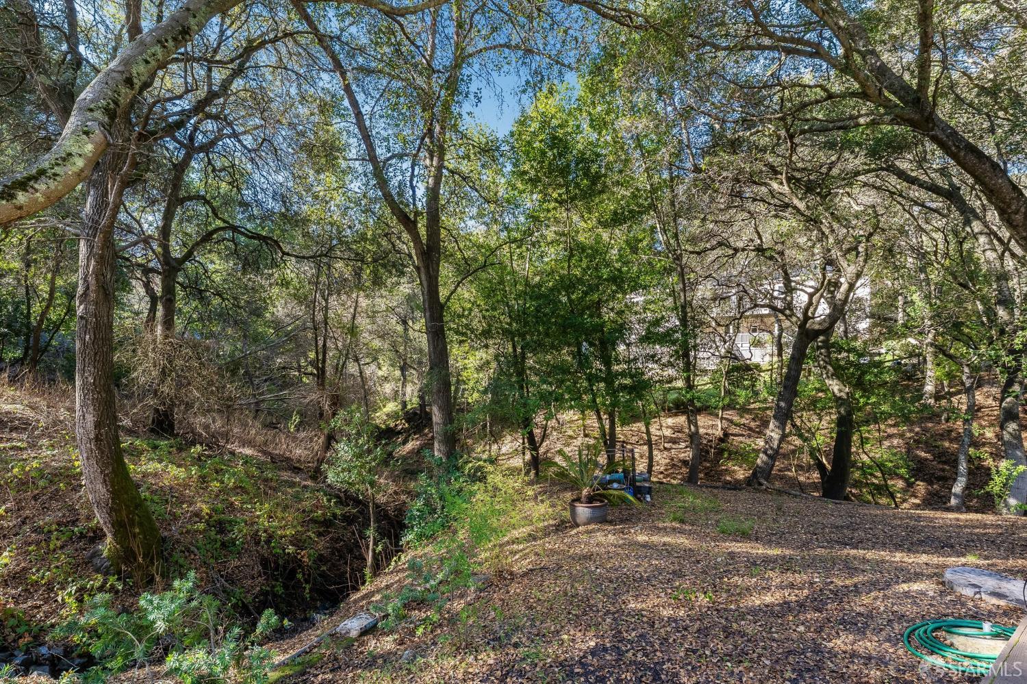 Detail Gallery Image 35 of 38 For 173 Glorietta Blvd, Orinda,  CA 94563 - 3 Beds | 2 Baths