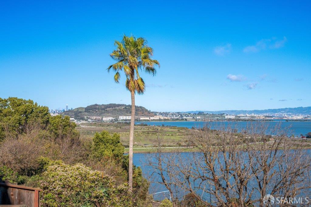 Detail Gallery Image 61 of 65 For 169 Tulare St, Brisbane,  CA 94005 - 4 Beds | 3 Baths