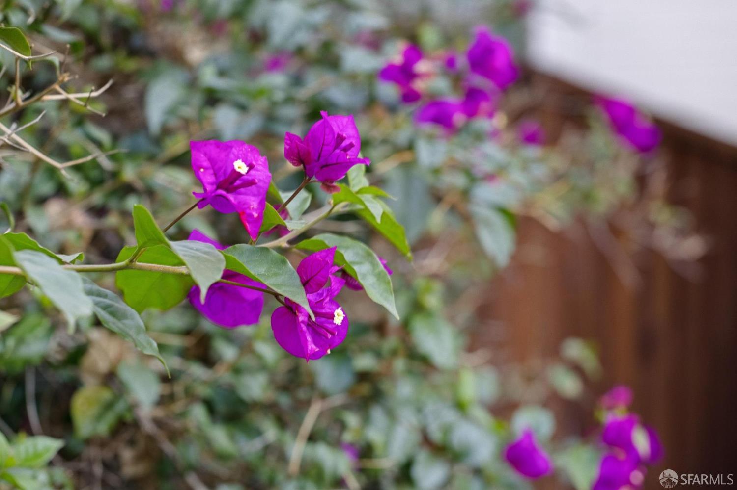 Photo #33: 425091990 Listing: Photo #33