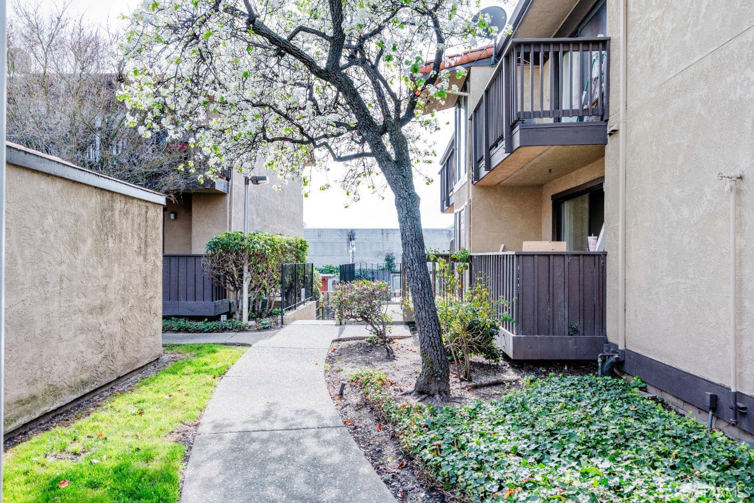 Detail Gallery Image 74 of 75 For 15065 Hesperian Blvd #22,  San Leandro,  CA 94578 - 2 Beds | 1 Baths