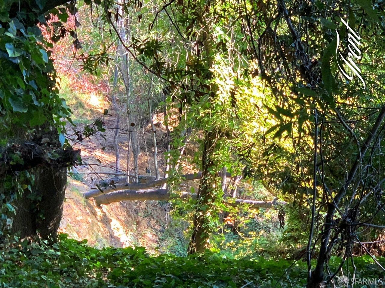 Detail Gallery Image 8 of 24 For 4265 San Pablo Dam Rd, El Sobrante,  CA 94803 - – Beds | – Baths